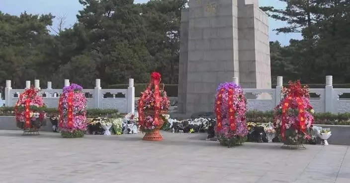 Qingming holiday sees 62 mln tomb sweepers as green burials gain wider acceptance