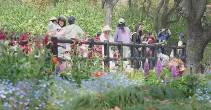 Surging spring tour demand drives expansion in China's cultural, tourism market