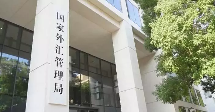 China's foreign exchange reserves decline in March