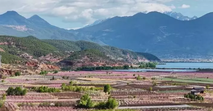 Spring-time tourism blossoms in China as scenic landscapes, leisure activities drive consumption