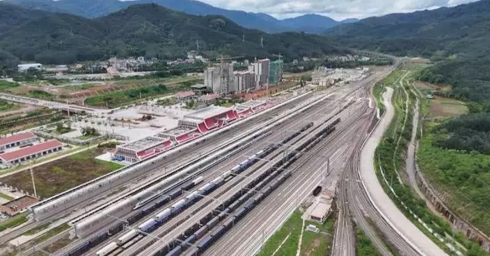China-Laos Railway sees robust growth in cross-border trade