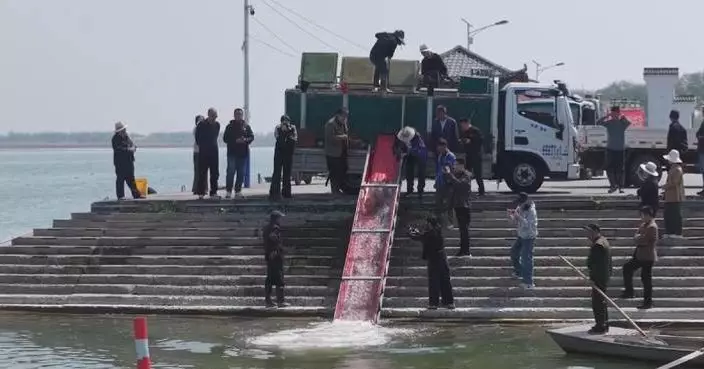 Authorities launch annual fish stocking in China's Dongping Lake to boost ecology