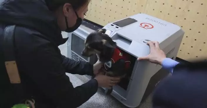 China expands pet‑friendly travel options on high-speed rail