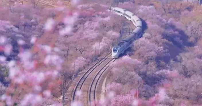 Railway passenger trips hit record high in Q1