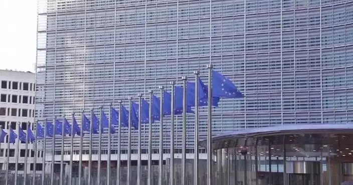 Former Italian PM says EU unity, leadership at risk under unanimity rule