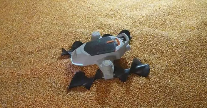 Grain leveling robot frees workers from arduous granary tasks