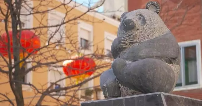 Chinese community in Madrid witnesses closer China-Spain ties