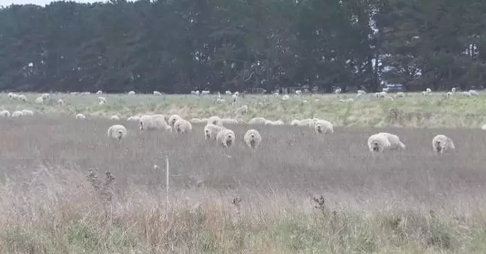 Australian farmers face mounting pressure as Middle East supply chain disruption hikes costs