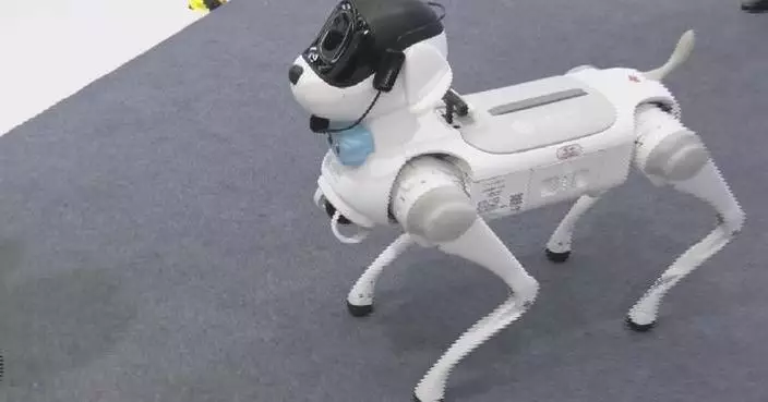 Robot guides, dogs shine at China International Consumer Products Expo in Hainan