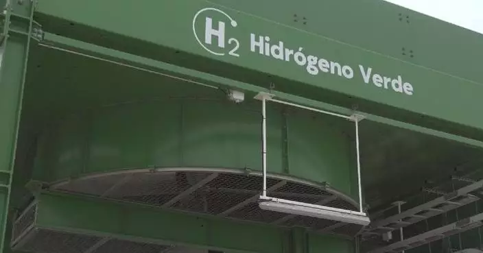 Spanish solar developer hails China's expertise in green hydrogen, urges stronger cooperation