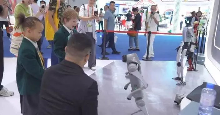Robots, flying cars give glimpse of future at consumer products expo in Hainan