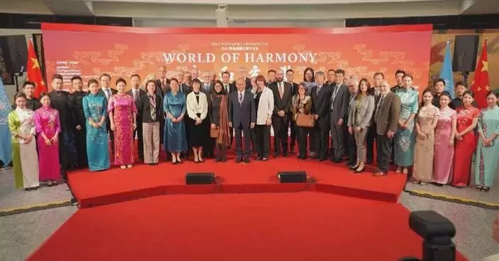 Chinese Language Day celebrations open at UN Vienna