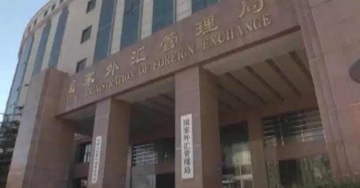 Forex market remains stable in March despite external shocks