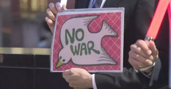 Japanese rally against lifting ban on lethal arms exports