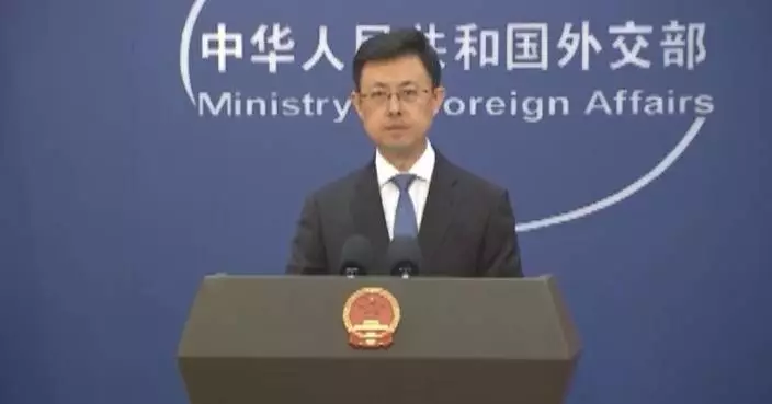 Spokesman on New Zealand military aircraft's reconnaissance, harassment