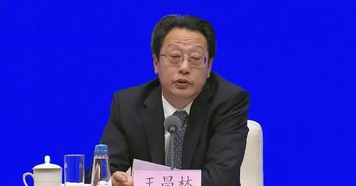 Official on coordinated macro policies for 15th Five-Year Plan