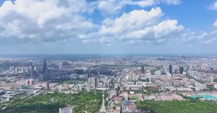 Structure of China's fixed asset investment continues to improve: analyst