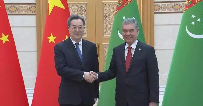 New gas field project to further boost China-Turkmenistan energy cooperation: Chinese vice premier