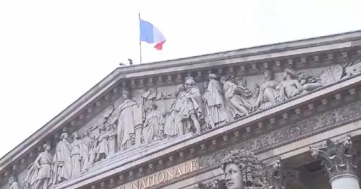 Concerted efforts behind France’s approval of bill on returning looted artifacts: expert