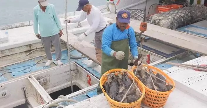 Fujian customs launches faster entry of Taiwan live fish