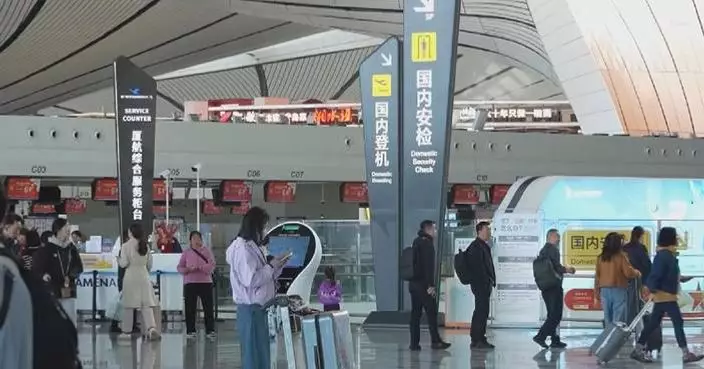 China's civil aviation passenger trips up 12.1 pct in March