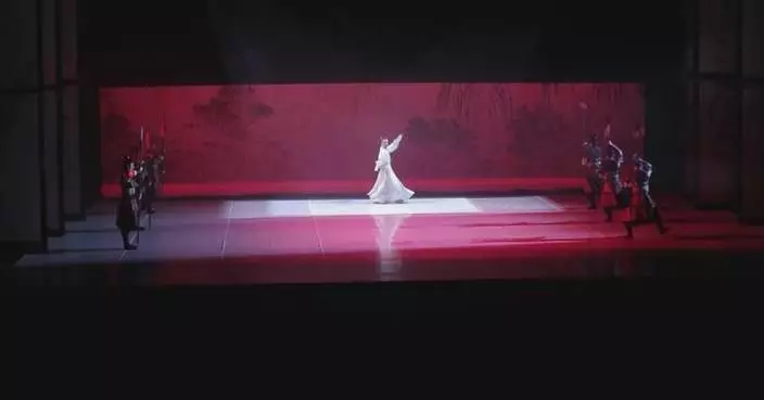 China sees robust performance market in 2025, with revenue up 5.19 pct