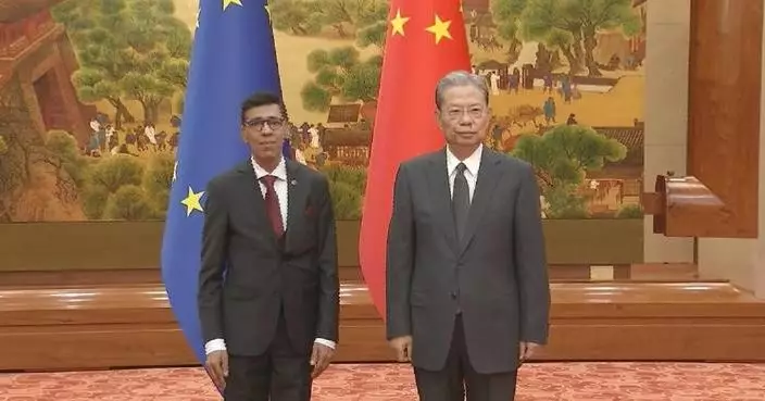 China's top legislator meets vice president of European Parliament