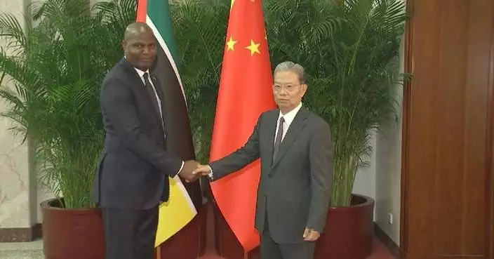 China’s top legislator meets Mozambican president on relations