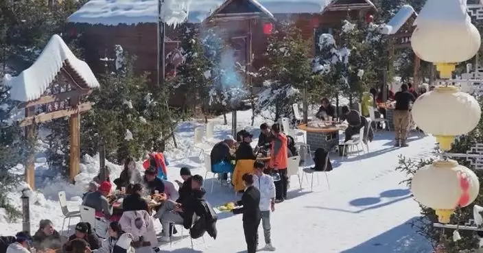 China issues guidelines to improve capacity, quality of service sector