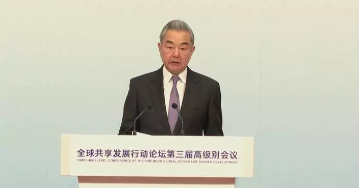 China remains promoter, contributor to global development: top diplomat