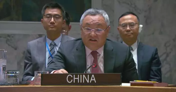 China calls for concerted int’l efforts to shield Syria from regional conflict