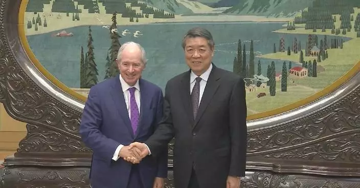 China’s vast market to offer world greater opportunities, more choices: Chinese vice premier