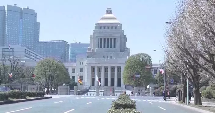 Japan's security revisions threaten regional peace, stability: int'l observers