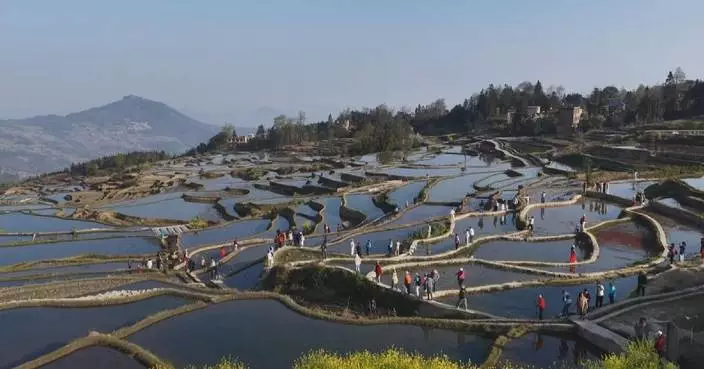 Southwest China’s Hani Rice Terraces see surge in tourist visits in Q1