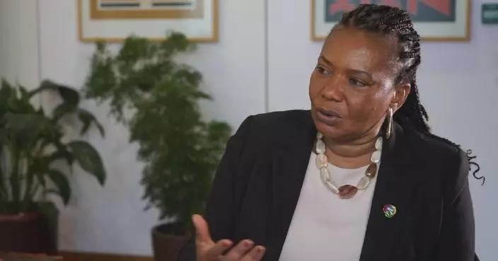 Brazil to expand cultural exchanges with China, with creative industries at forefront: minister