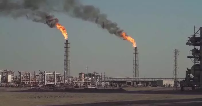 UAE's OPEC exit reflects strategic shift amid energy security concerns: expert