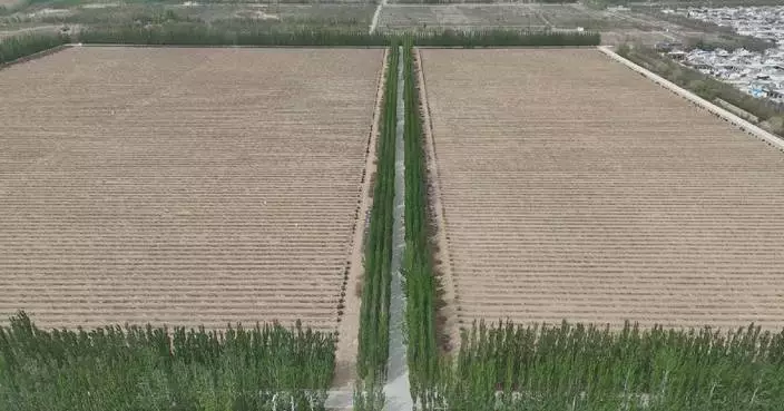 Mass resettlement campaign improves lives, restores land in northwest China’s Ningxia