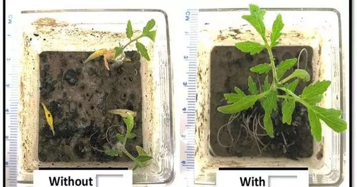 GreenSTEM Technology Corp Technology Ready for Field-Testing