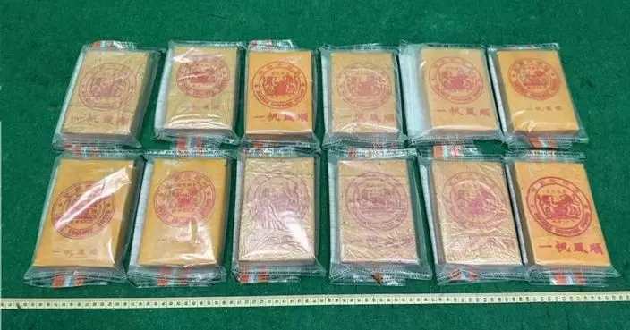 Hong Kong Customs Seizes 4kg Heroin, Arrests 21-Year-Old Passenger at Airport.