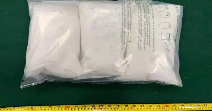 Hong Kong Customs Seizes $1.9 Million in Dangerous Drugs, Arrests Two Suspects
