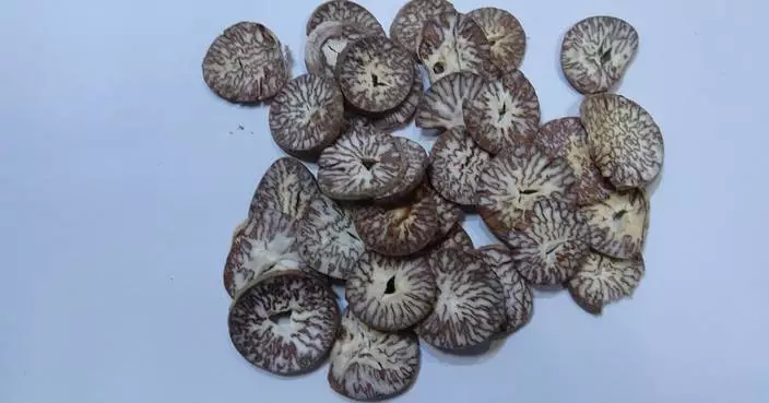 Health Department Orders Recall of Contaminated Chinese Herbal Medicine Due to Aflatoxin Concerns