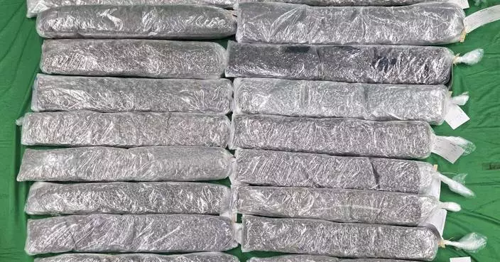 Hong Kong Customs Seizes 50kg Cannabis, 3.5kg Ketamine; Two Arrested in Drug Trafficking Operations.