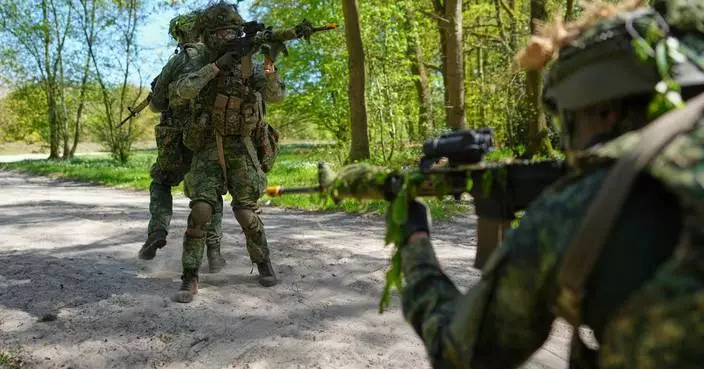 Royals boost Dutch military volunteers as Europe looks to ramp up troop numbers