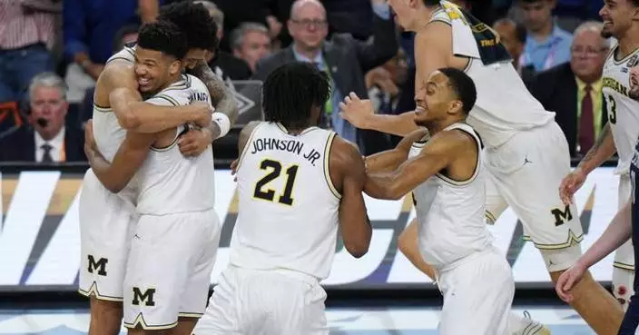 Michigan built a roster full of transfers who carried the Wolverines to a national title