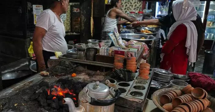 Energy shock ripples through kitchens, forests and conservation in Africa and South Asia