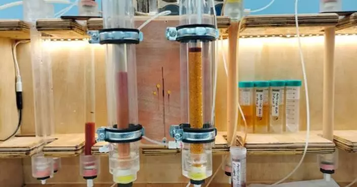 Lifezone Produces First-Ever Platinum, Palladium and Rhodium from its U.S. PGM Recycling Project Lifezone’s Simulus Laboratories Completes Locked-Cycle and Pilot Test Work