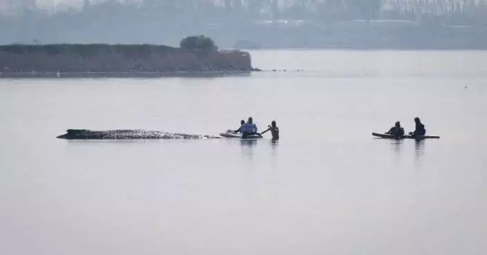 German rescuers plan to use air cushions to save Timmy the stranded whale