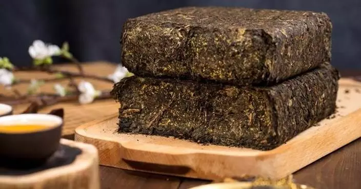 Xinhua Silk Road: Xianyang Fu Tea delegation visits embassies of five countries in Beijing to promote Chinese tea culture