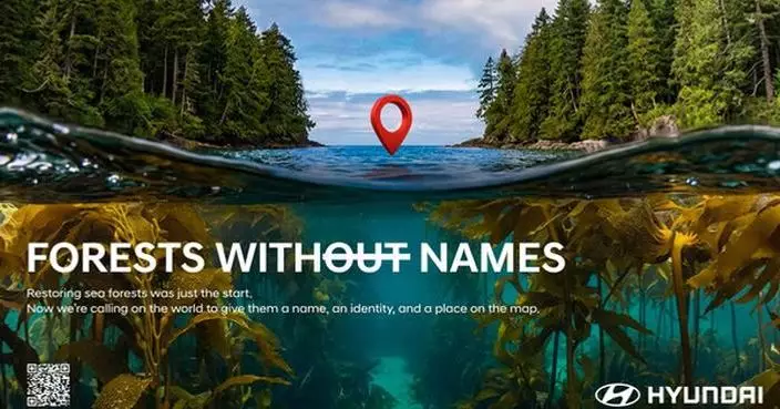 Forests Without Names: Hyundai Motor Brings the World’s Hidden Sea Forests Into the Light