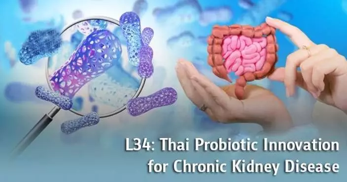“Lactobacillus Rhamnosus L34”: A Native Probiotic That Reduces Inflammation in Patients with Chronic Kidney Disease